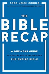 The Bible Recap - A one year guide (The Entire Bible) logo