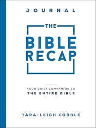 The Bible Recap - Journal logo