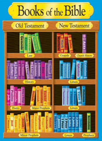 Books of the Bible Bookcase-image