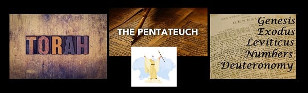 Torah collage